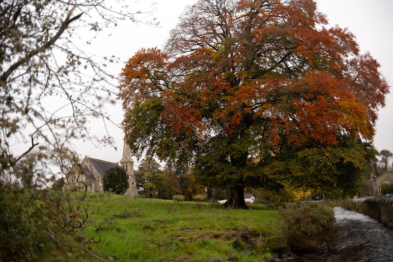 Autumn leaves in Killeevan, Co Monaghan, this morning. Photograph: Chris Maddaloni/The Irish Times