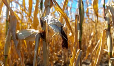 World faces ‘devastating consequences’ after missing 1.5 degrees climate target, says UN head – The Irish Times