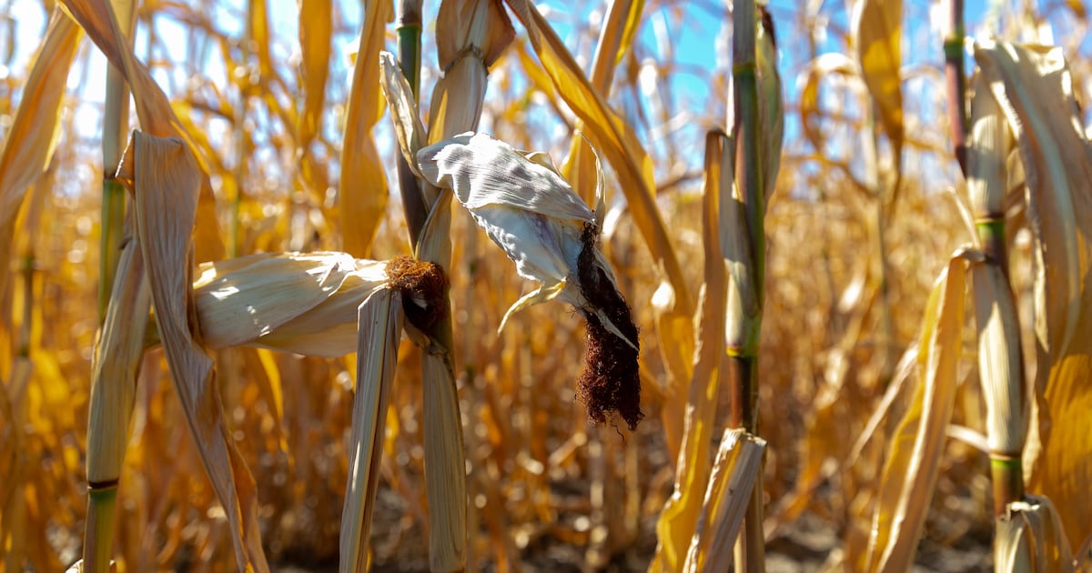 World faces ‘devastating consequences’ after missing 1.5 degrees climate target, says UN head – The Irish Times