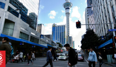 Commercial real estate market gaining momentum in more stable investment environment