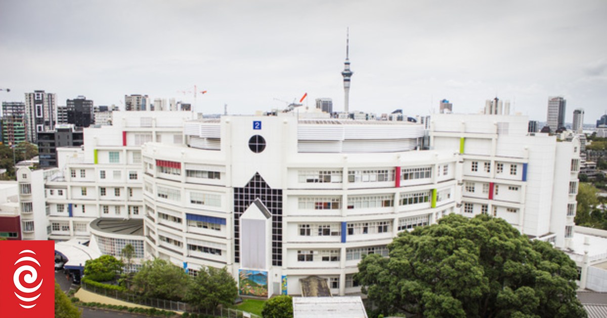 Starship Hospital nurses, doctors boycotted managers over bullying allegations