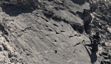 Tiny Footprints of a Neanderthal Toddler Reveal the Deeply Human Story of a Family on the Move