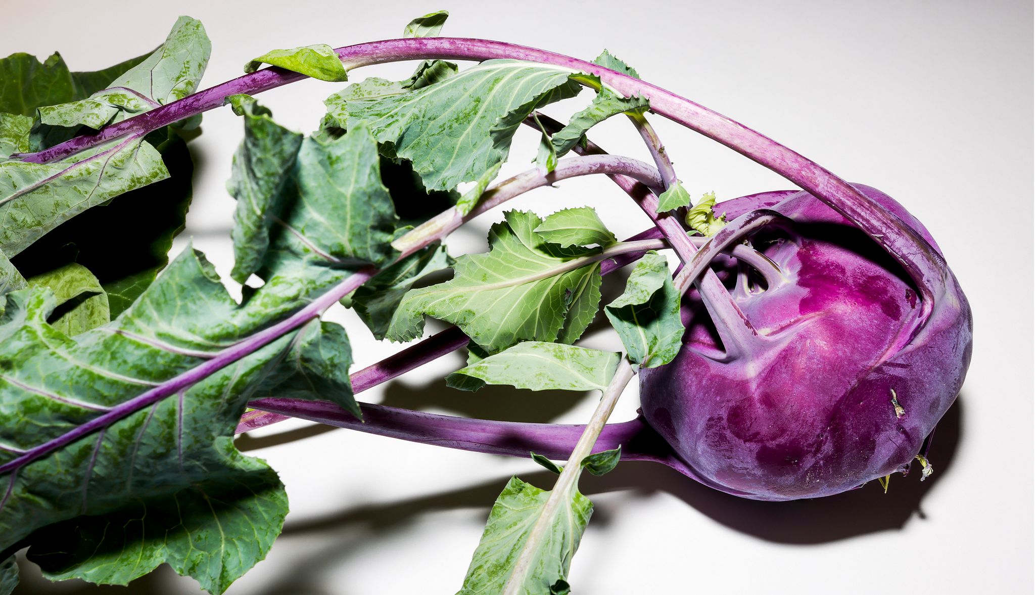 Healthy Fall Foods Kohlrabi