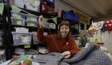 Moth holes in your favourite jumper? Here’s what to do – The Irish Times