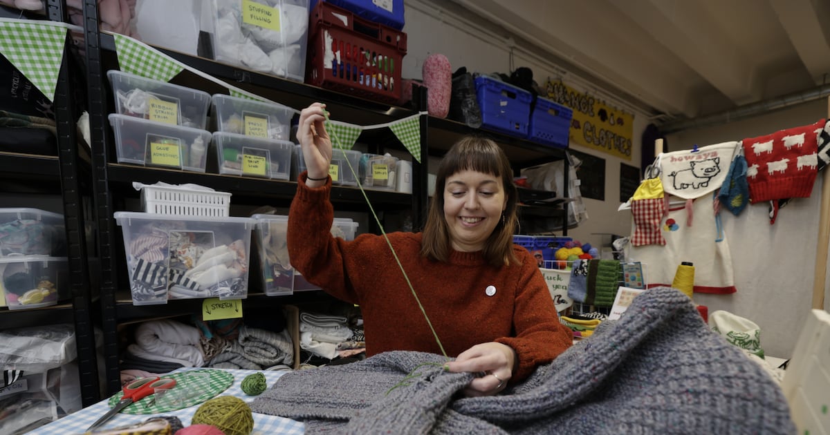 Moth holes in your favourite jumper? Here’s what to do – The Irish Times