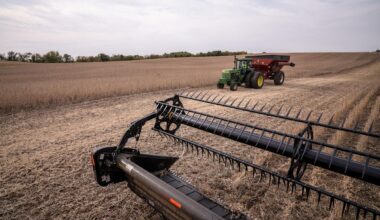 China to Make ‘Substantial’ US Soybean Purchases, Bessent Says