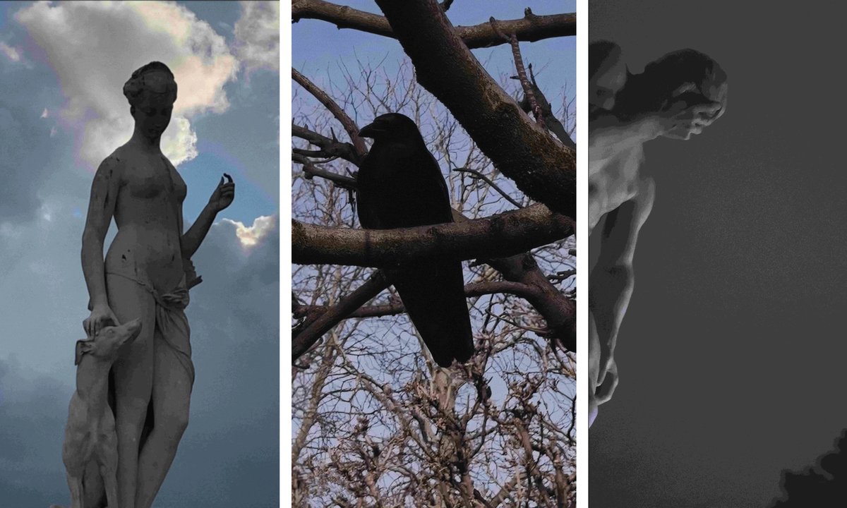 Louvre acquires first-ever video work - The Art Newspaper