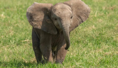 Yahoo lifestyle home