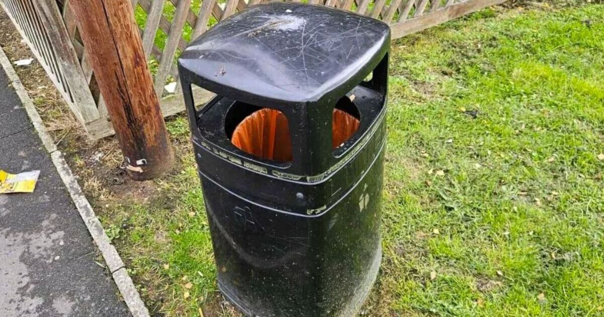 Mum to be 'interviewed by police' after putting envelope in public waste bin | UK | News