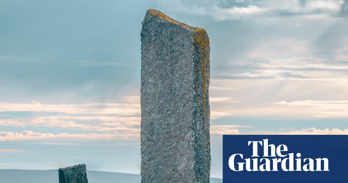 The best recent crime and thrillers – review roundup | Books