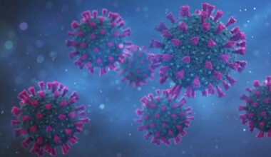 Pharmacist advises Limerick people ahead of the winter flu season