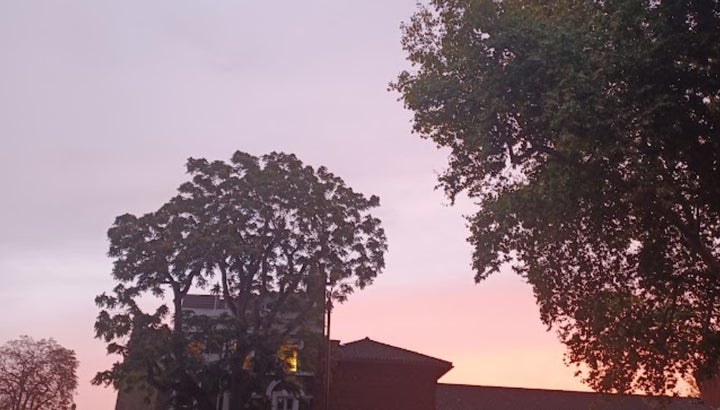 Dawn sky recently