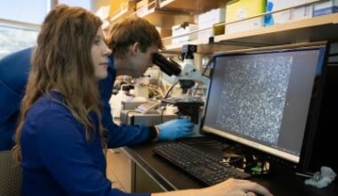 A Synthesized Protein From Fish Blood That Could Prevent Food and Drugs From Freezing