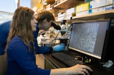 A Synthesized Protein From Fish Blood That Could Prevent Food and Drugs From Freezing