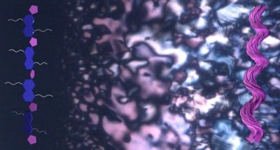 Researchers discover spontaneous chirality in conjugated polymers
