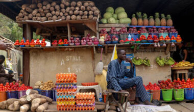 Nigeria's inflation falls after months of crisis