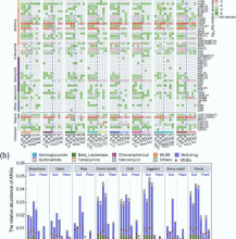 Rhizosphere metabolites influence the spread of antibiotic resistance genes in soil-plant systems