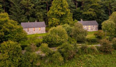 Two schoolhouse transformations near Blessington are a masterclass in design – The Irish Times