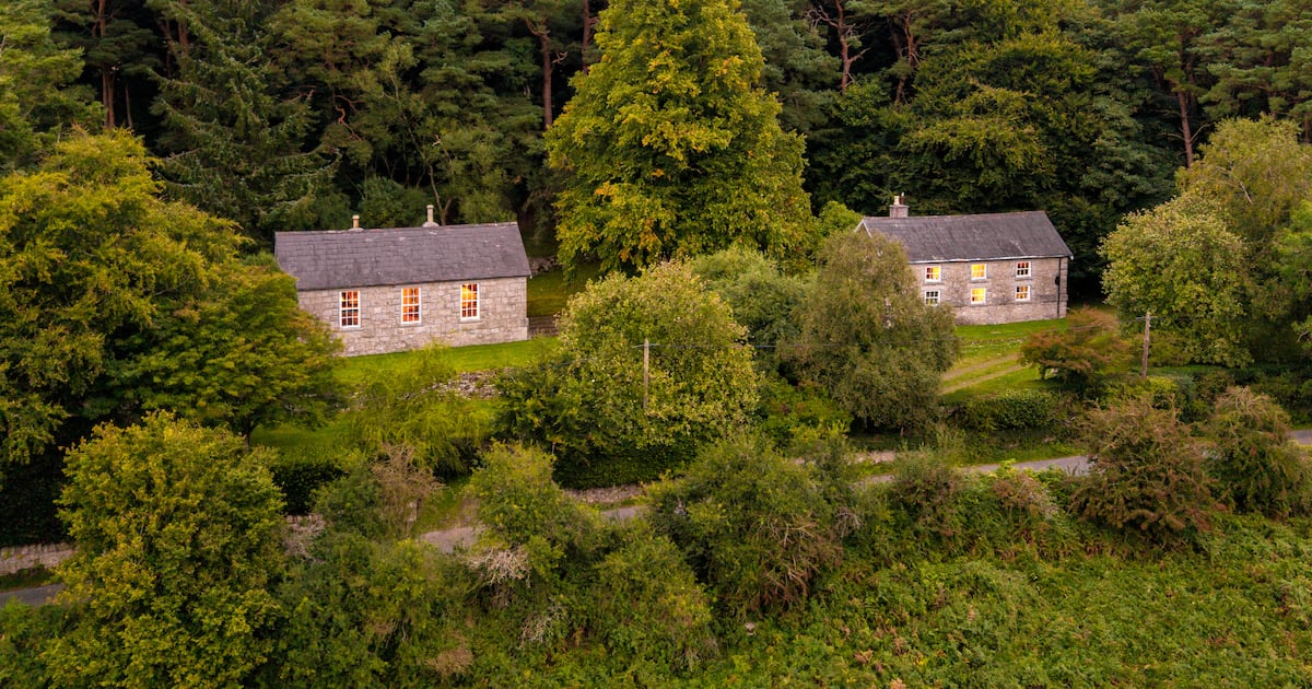 Two schoolhouse transformations near Blessington are a masterclass in design – The Irish Times