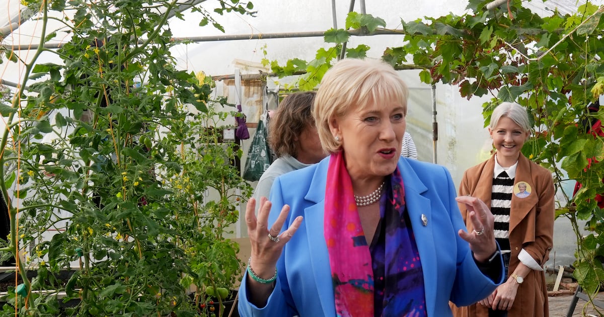 Micheál Martin will vote for Heather Humphreys, will not tell party to back FG contender – The Irish Times