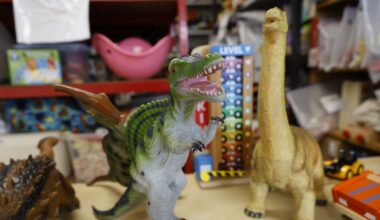 Toy libraries are helping families save money, cut down on clutter and reduce waste – The Irish Times