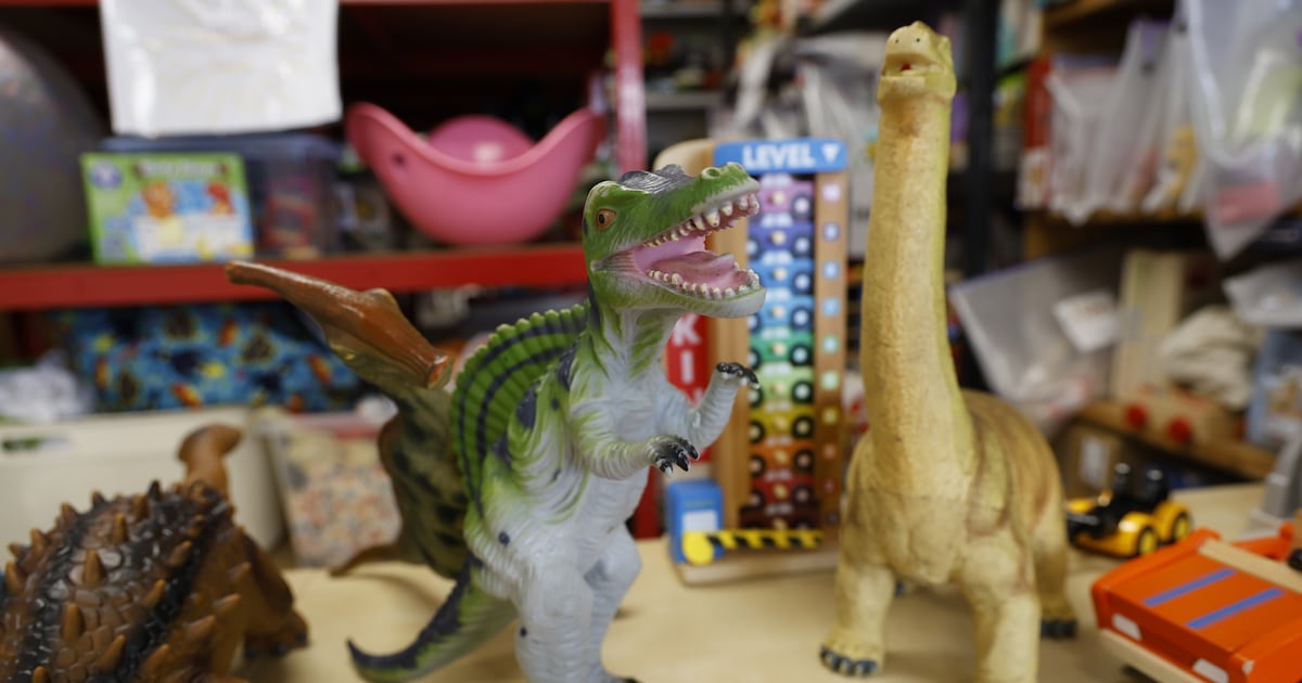 Toy libraries are helping families save money, cut down on clutter and reduce waste – The Irish Times