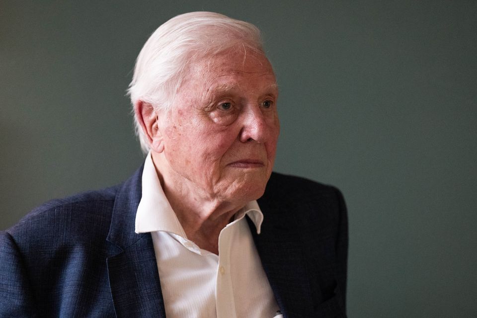 Sir David Attenborough (PA)