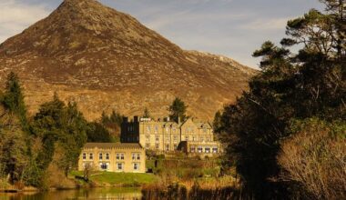 Operating profits at company that runs Denis O’Brien-owned Galway hotel fall 30pc to €307,000