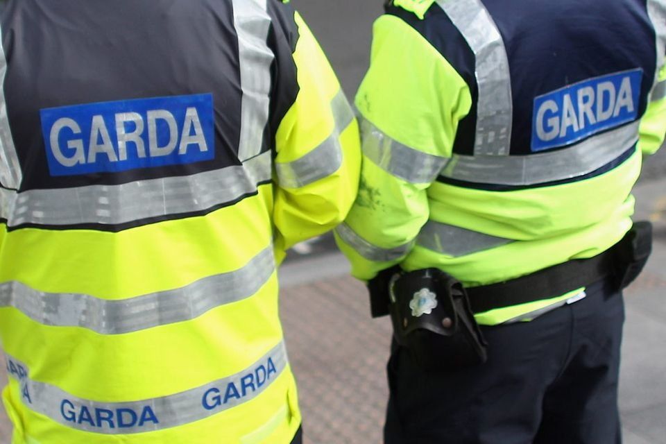 During a search of a property in Co Carlow, gardaí discovered a viable pipe bomb (stock image)