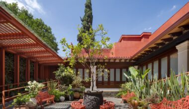 New Frida Kahlo museum, focused on the artist's youth and family life, opens in Mexico City - The Art Newspaper