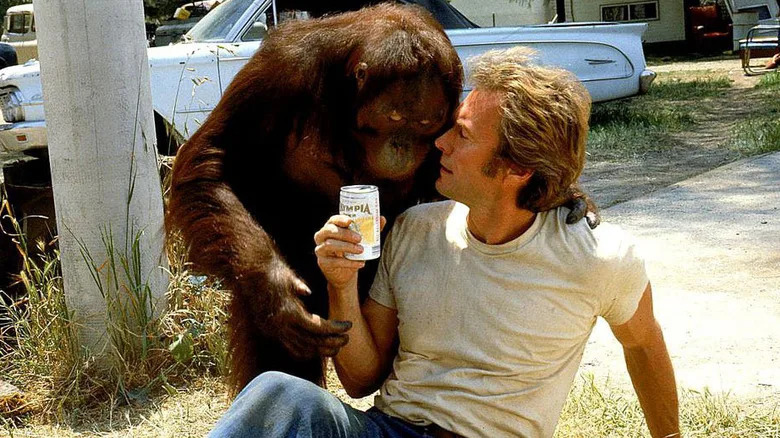 Philo Beddoe (Clint Eastwood) holds a beer while being comforted by Clyde in Every Which Way But Loose