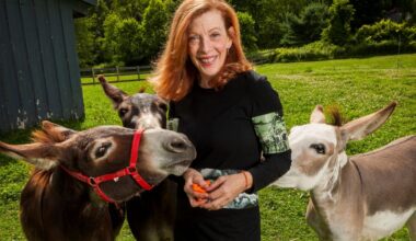 Spend time with four best-selling authors at Cape Cod Book Festival