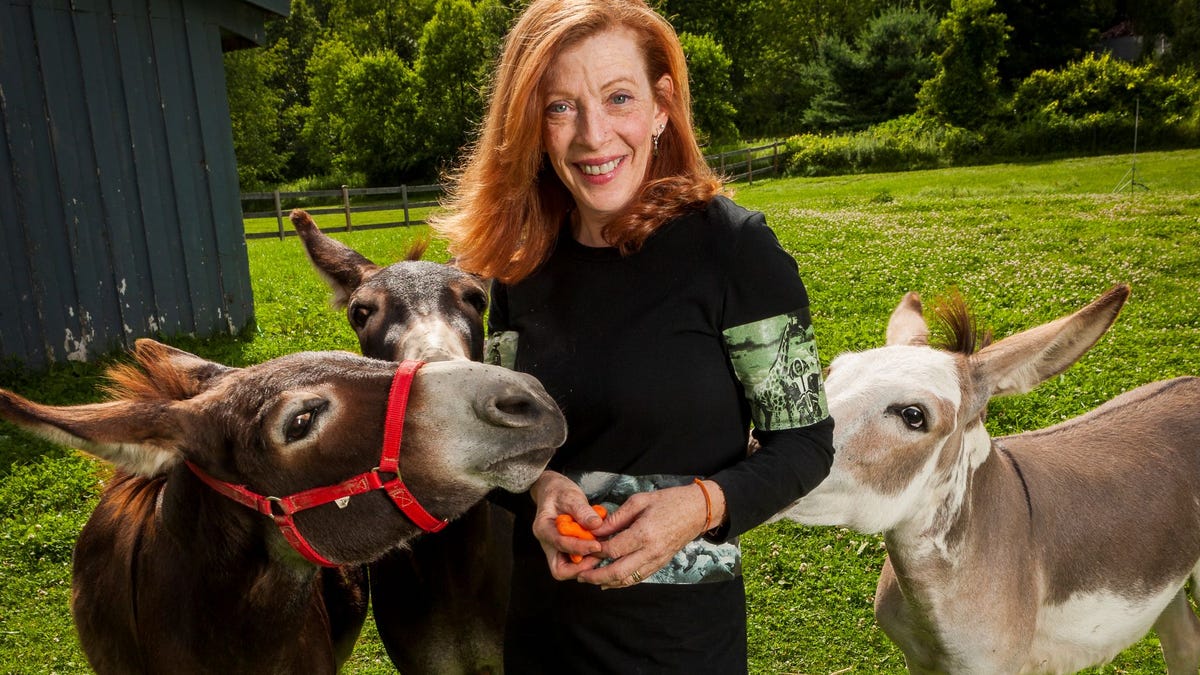 Spend time with four best-selling authors at Cape Cod Book Festival