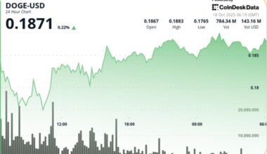 Dogecoin Finds Support After Tariff-Led Selloff