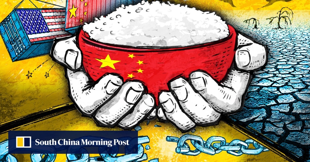 Why China’s next 5-year plan will double down on food security