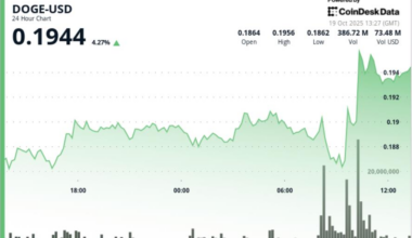 Holds $0.19 Base as 'Smart Money' Eyes Breakout Attempt