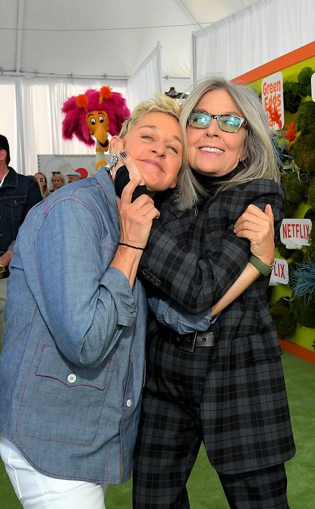 <p>Ellen DeGeneres</p>