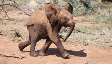 Yahoo lifestyle home