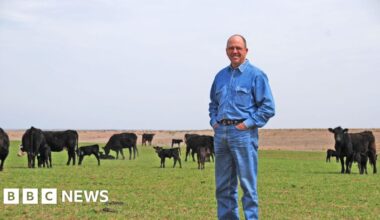 US beef prices are soaring. Will Trump's plans lower them?