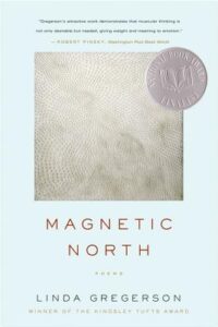 magnetic north
