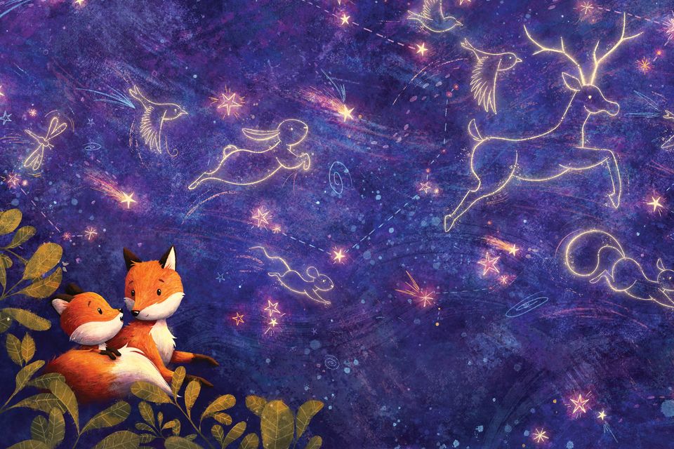 Run Home, Little Fox by Tom McCaughren and Erika McGann, illustrated by Shannon Bergin (The O’Brien Press)