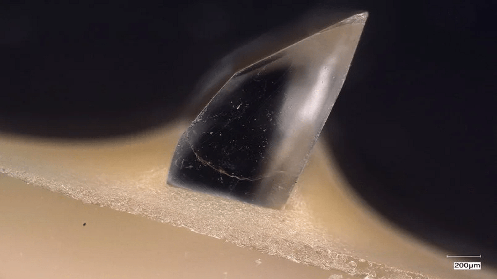 The thorium crystal, about one millimeter in size.