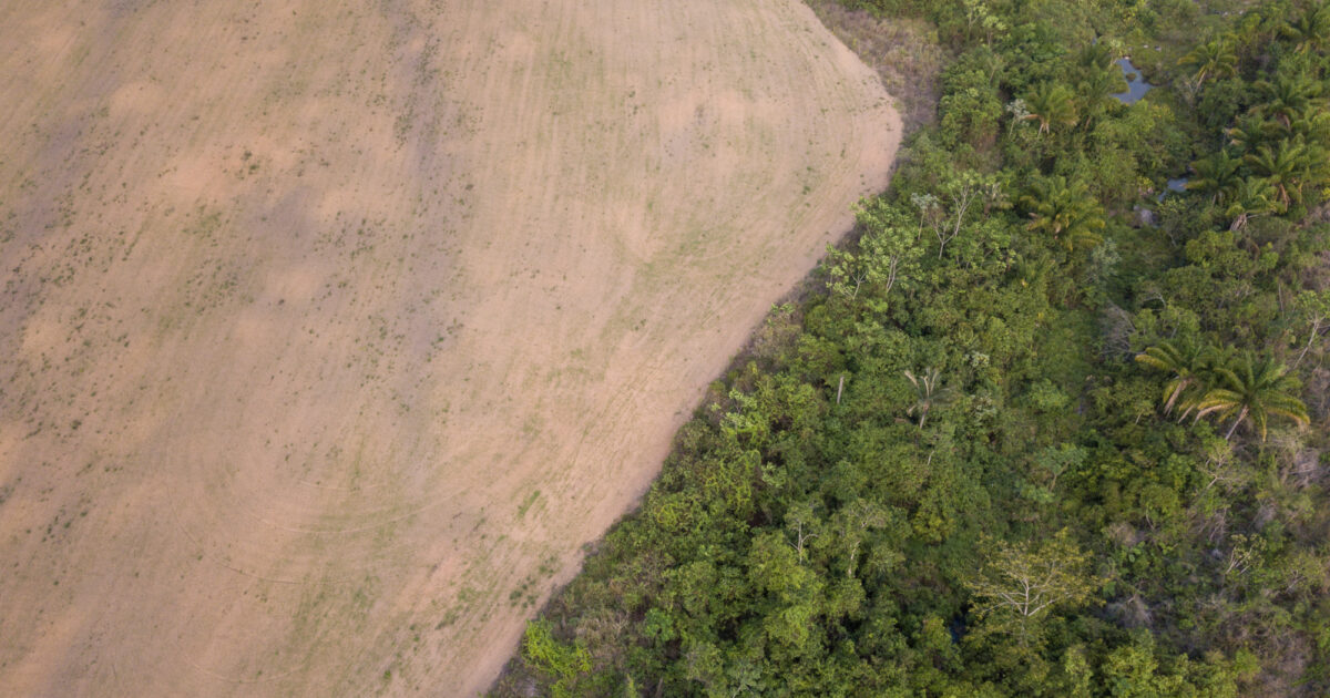 Biofuels globally emit more CO2 than the fossil fuels they…