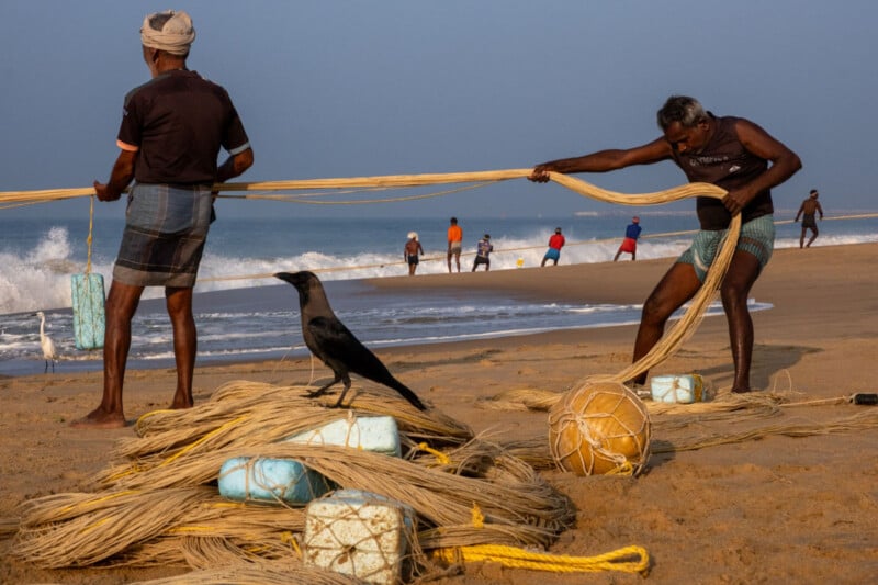 Fishermen pull in nets on a sandy beach near the ocean, while a crow perches on coiled ropes in the foreground. More people work by the water's edge under a clear blue sky.