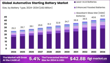 Automotive Starting Battery Market