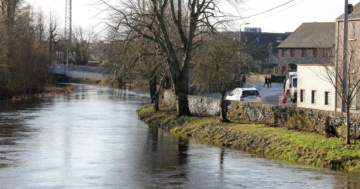 Half of Ireland’s rivers, lakes and estuaries in unhealthy state as standards slide again – The Irish Times
