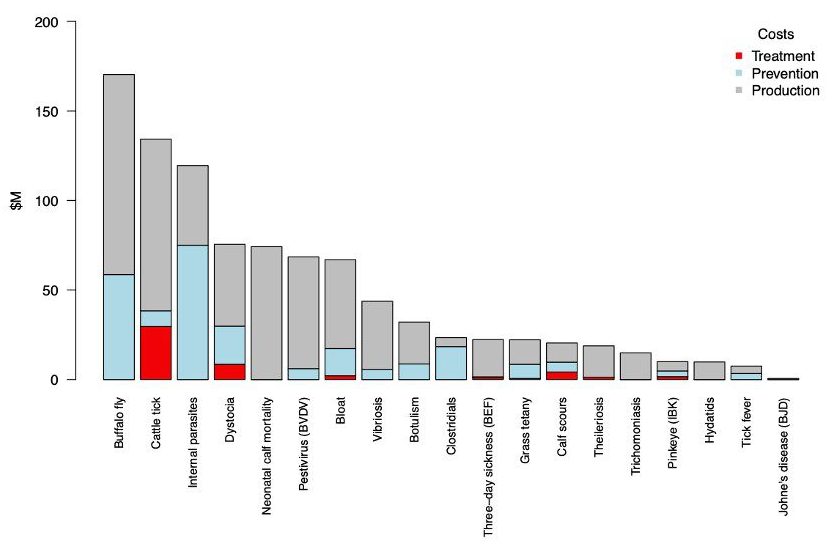 Weekly genetics review: Why do some cattle cope better than others with buffalo fly?