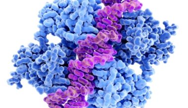Newborn genomic screening may detect hundreds of additional childhood conditions