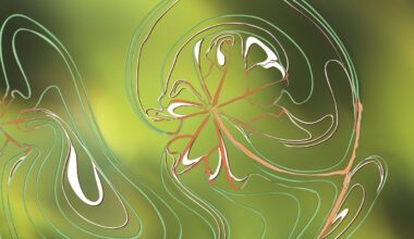 Cahl Sel: Traces Album Review