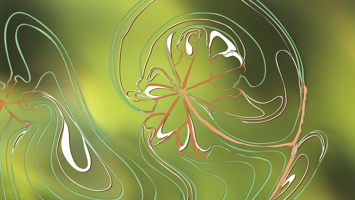 Cahl Sel: Traces Album Review